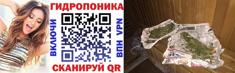 Виды наркотиков купить Ржев Alpha-PVP  ссылка на мегу ССЫЛКА  Галлюциногенные грибы  МАРИХУАНА  Меф 