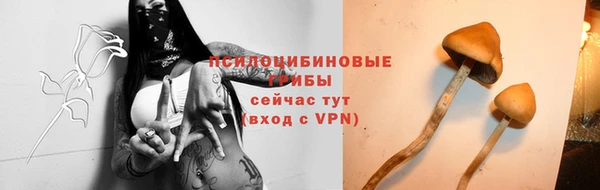 ALPHA-PVP Алексеевка