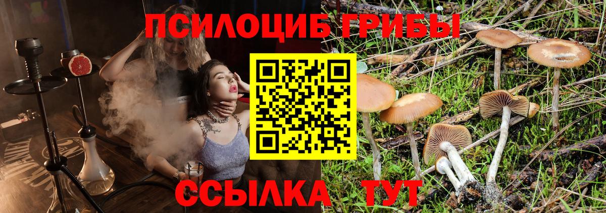 Галлюциногенные грибы мухоморы Ржев