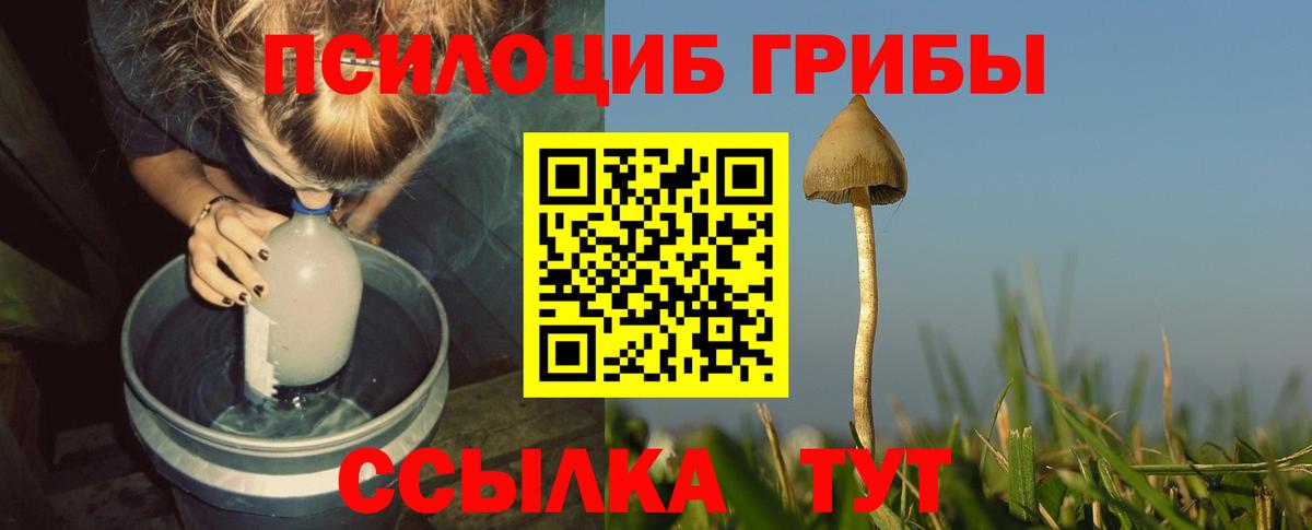 купить наркоту  Вход с VPN  Ржев  Галлюциногенные грибы Cubensis 